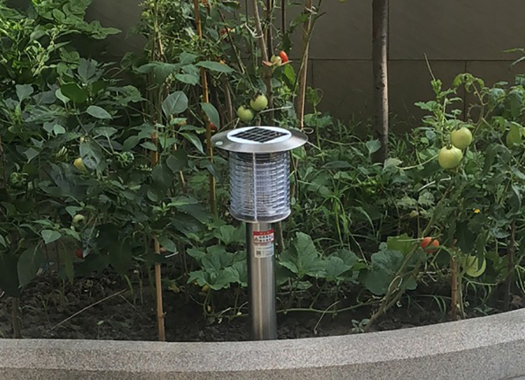 室外滅蚊蟲燈的工作原理詳解，了解如何驅(qū)趕蚊蟲