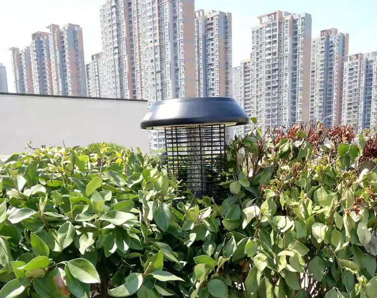 室外滅蚊燈到底有沒有用，完全取決于你會不會用